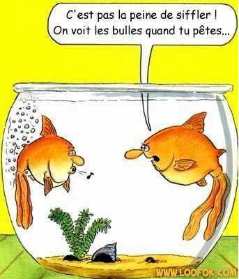 petite blagues pas drole
